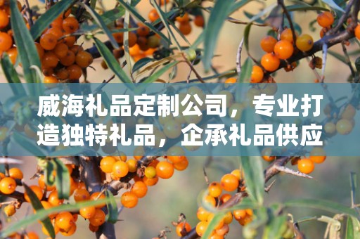威海礼品定制公司，专业打造独特礼品，企承礼品供应链卓越服务